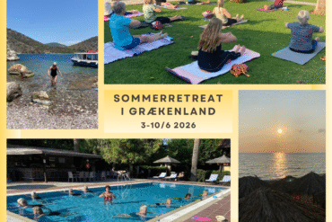 Hammam, yoga & meditation m. te og frugt